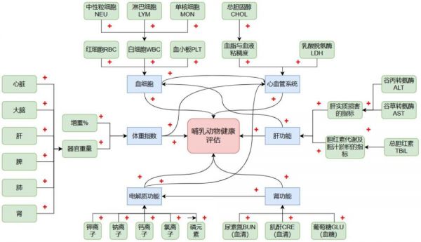 一種對食用轉(zhuǎn)基因作物哺乳動物健康水平的分級方法及評估系統(tǒng)