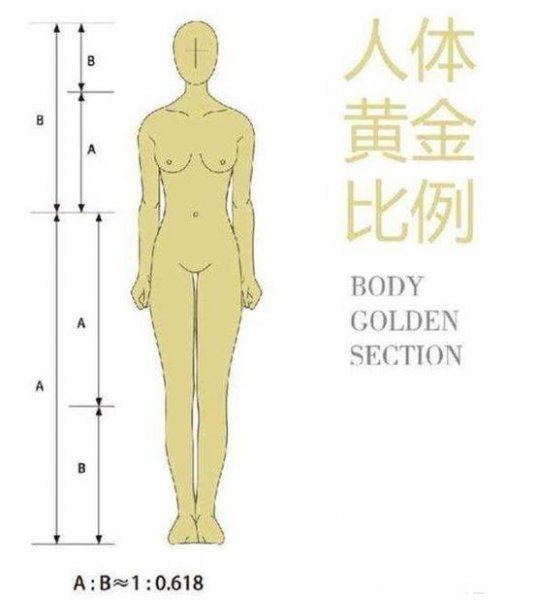 黃金比例身材對照表是怎么樣的