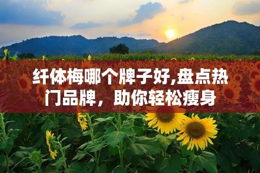 纖體梅哪個牌子好,盤點熱門品牌，助你輕松瘦身