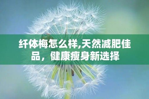 纤体梅怎么样,天然减肥佳品，健康瘦身新选择