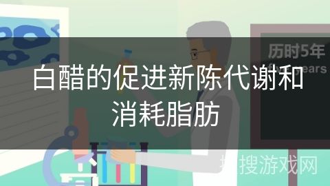 白醋的促進新陳代謝和消耗脂肪