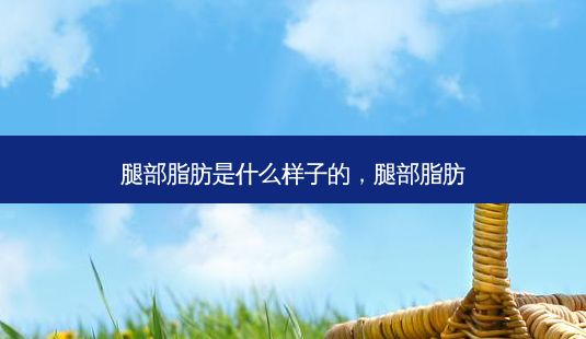 腿部脂肪是什么樣子的，腿部脂肪-第1張圖片-眾美整形網(wǎng)