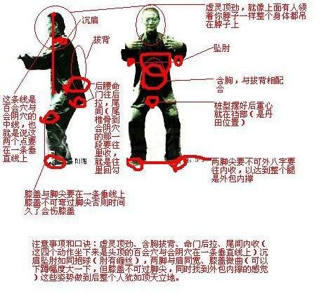 馬步的正確姿勢(shì)圖片