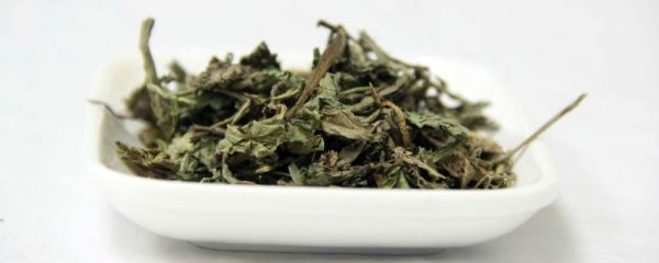 蒲公英泡水喝的正確方法 蒲公英泡水喝用量