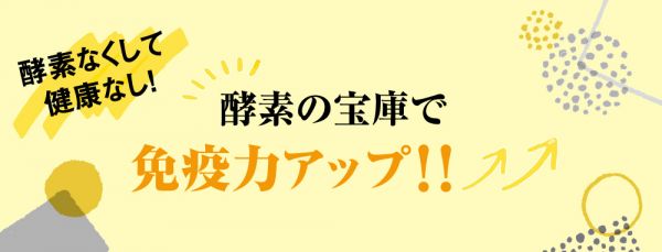 酵素トップ