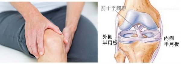 #膝蓋痛 #半月板受傷 #半月板撕裂 #半月板破裂 #半月板手術(shù) #復(fù)健運(yùn)動(dòng) #李嘉瑋醫(yī)師 #復(fù)健加油站