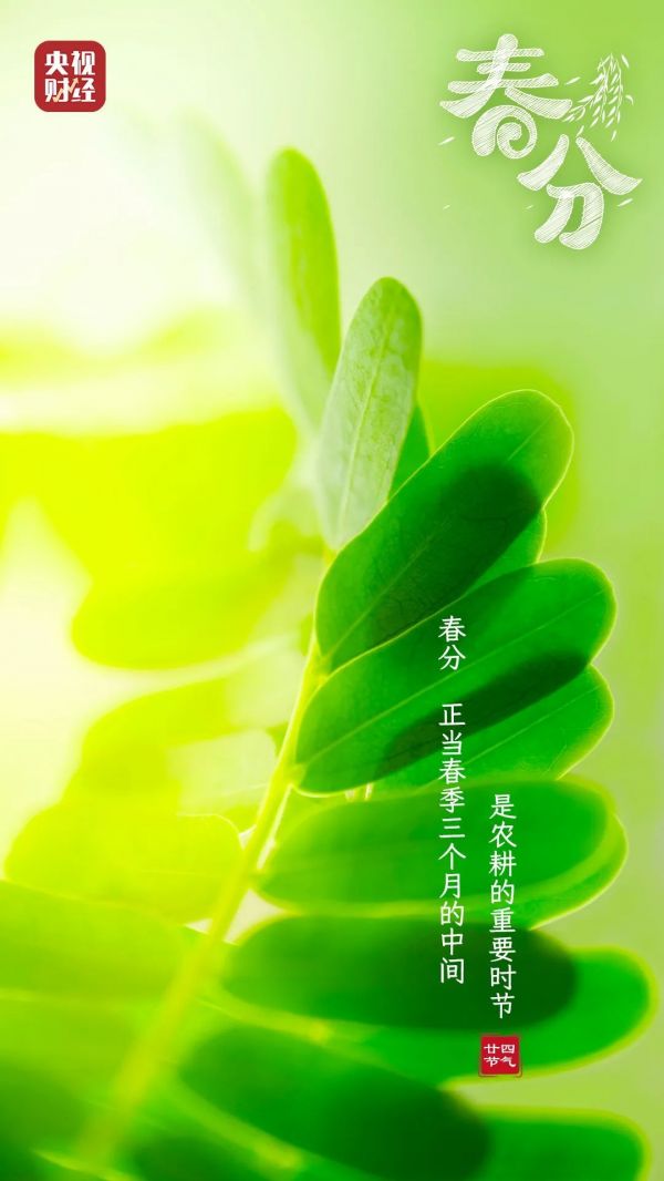 春分至！做好这3件事，让身体更健康→