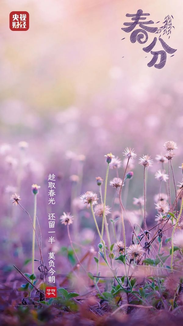 春分至！做好这3件事，让身体更健康→