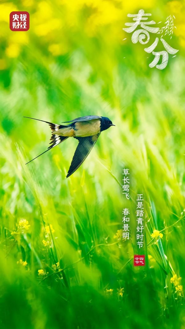 春分至！做好这3件事，让身体更健康→