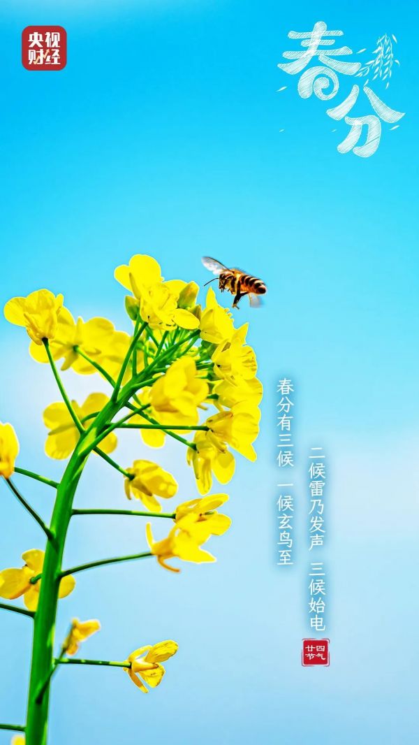 春分至！做好这3件事，让身体更健康→