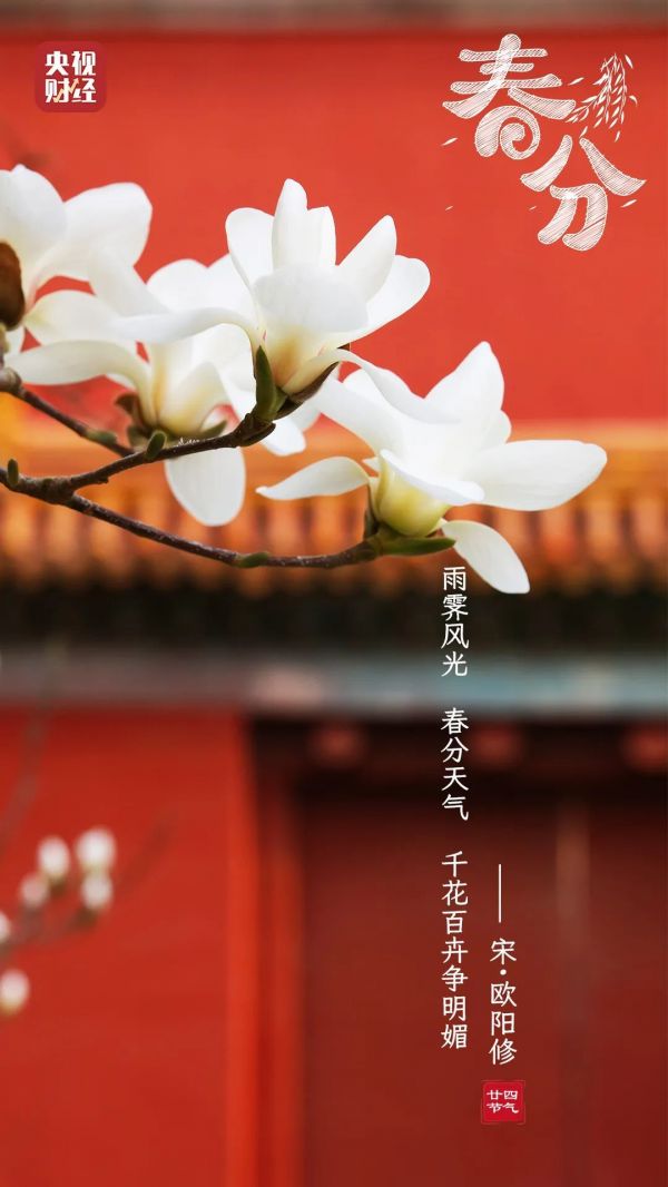 春分至！做好这3件事，让身体更健康→