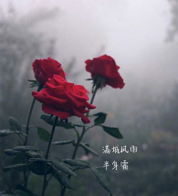 針灸減肥能治愈艾滋病嗎