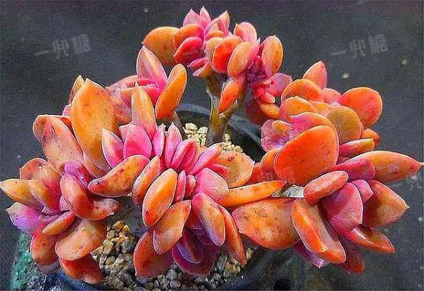 61924153b38f9.jpg!b710