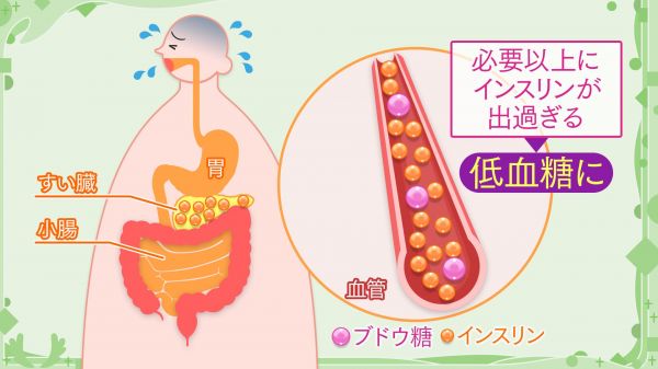 必要以上にインスリンが出過(guò)ぎると低血糖に
