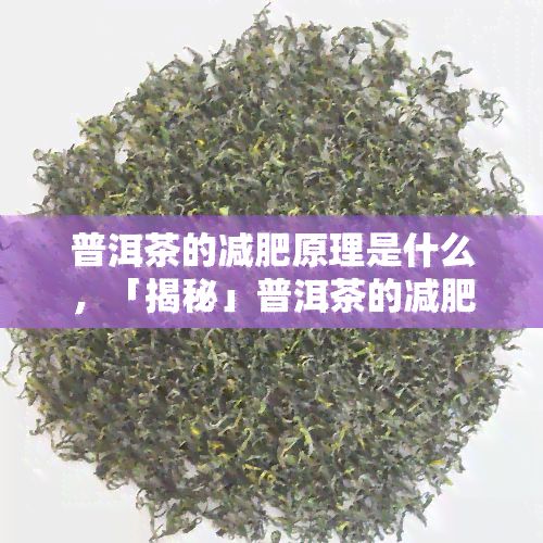 普洱茶的減肥原理是什么，「揭秘」普洱茶的減肥原理究竟是什么？