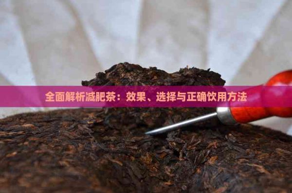 全面解析减肥茶：效果、选择与正确饮用方法