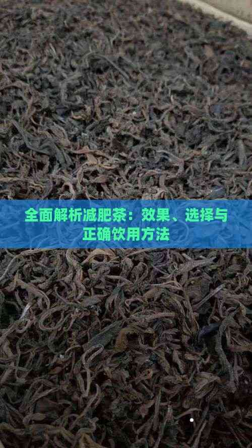 全面解析减肥茶：效果、选择与正确饮用方法