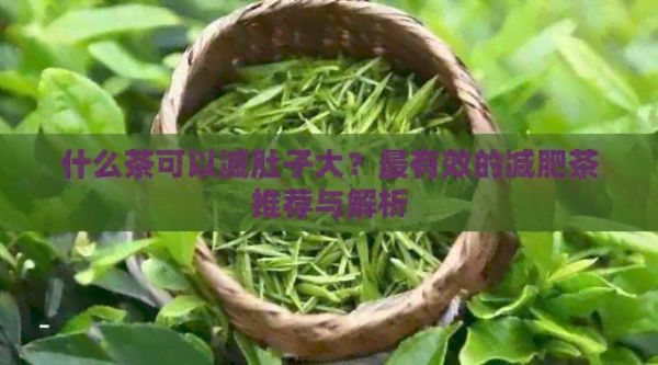 什么茶可以減肚子大？最有效的減肥茶推薦與解析