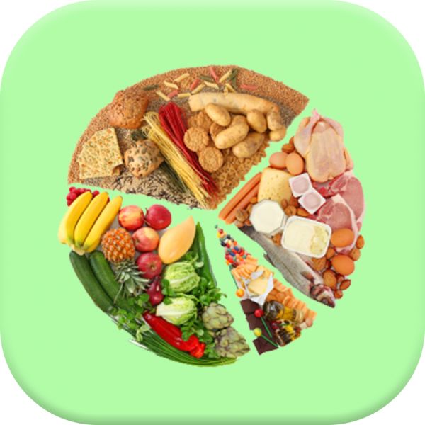 掌上饮食app