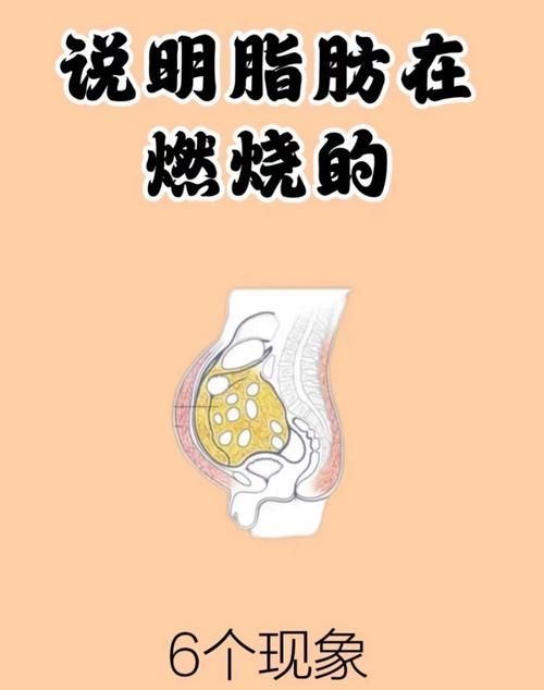 燃燒脂肪的減肥藥膏對身體有害嗎（燃燒脂肪的減肥藥對身體有危害嗎）-圖2