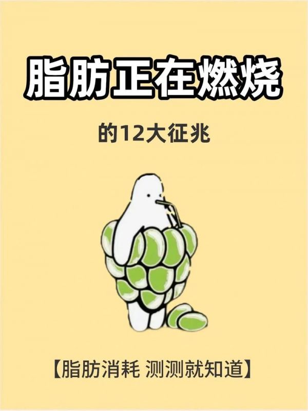 燃燒脂肪的減肥藥膏對身體有害嗎（燃燒脂肪的減肥藥對身體有危害嗎）-圖1