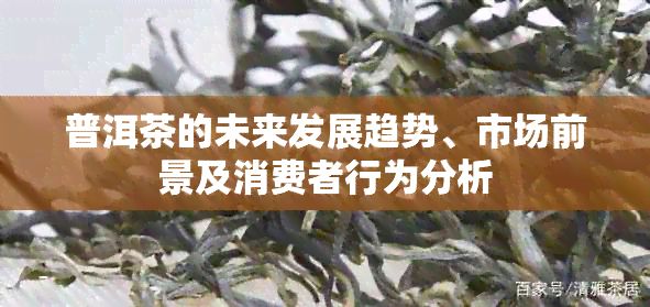 普洱茶的未來(lái)發(fā)展趨勢(shì)、市場(chǎng)前景及消費(fèi)者行為分析