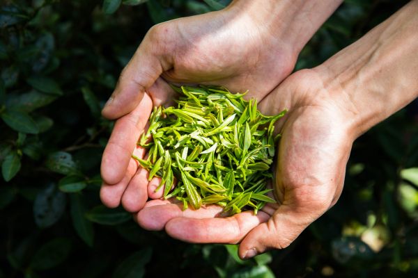 攝圖網(wǎng)_501242508_banner.jpg