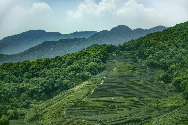 攝圖網(wǎng)_501300789_banner.jpg