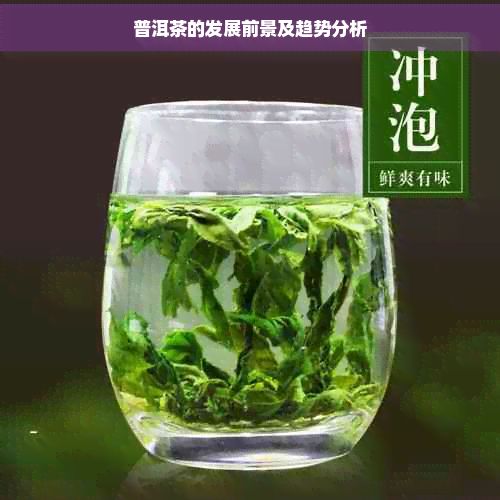 普洱茶的發(fā)展前景及趨勢(shì)分析