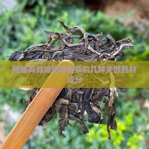 揭秘有效減肥降脂茶的幾種關(guān)鍵藥材成分