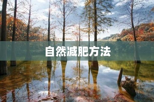 自然减肥方法：告别肥胖，享受健康生活