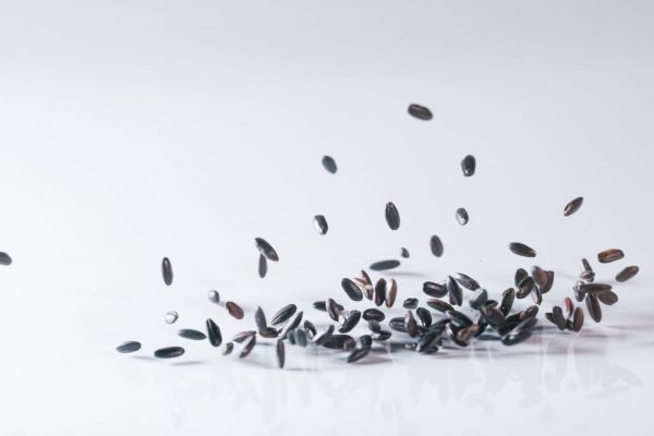 purple rice