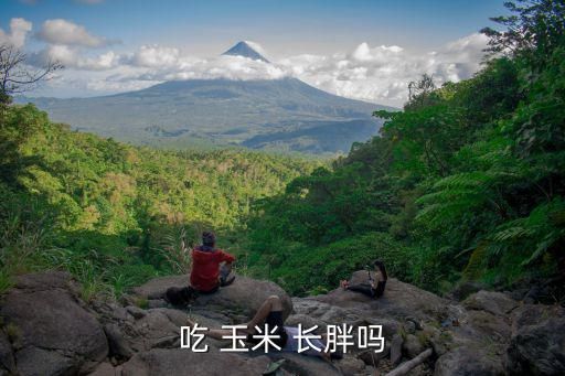 吃 玉米 長胖嗎