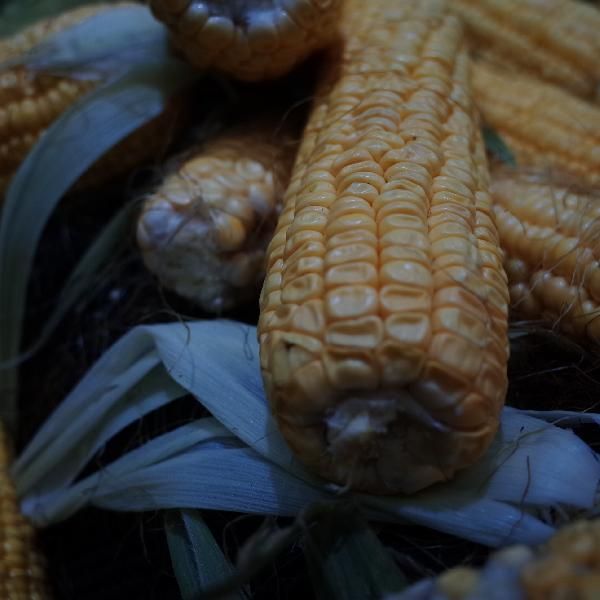 一個玉米棒的熱量