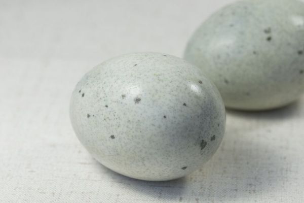 皮蛋瘦肉粥的热量 皮蛋瘦肉粥的热量高还是米饭高 100克皮蛋瘦肉粥的热量是多少