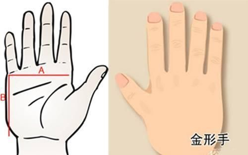 女生這5種常見(jiàn)手型，第3種是美女手，你屬于哪一種手型