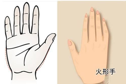 女生這5種常見(jiàn)手型，第3種是美女手，你屬于哪一種手型