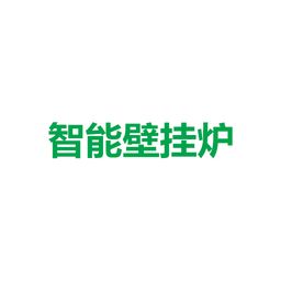 智能壁掛爐