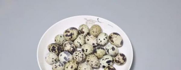 如何挑选鹌鹑蛋？要尽量避开这几种，保准能挑到新鲜好吃的蛋！
