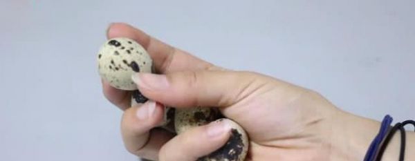 如何挑选鹌鹑蛋？要尽量避开这几种，保准能挑到新鲜好吃的蛋！