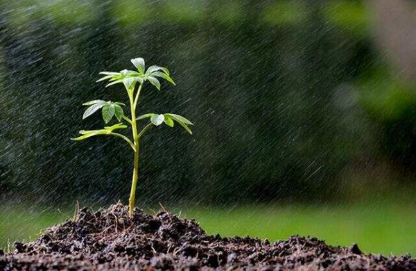 肠燥便秘、大便干涩，就要润肠，一个古方“增液汤”，润肠通便！