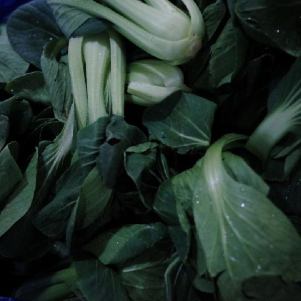 白菜玉米芝麻粥--補(bǔ)肝益腎潤燥通便