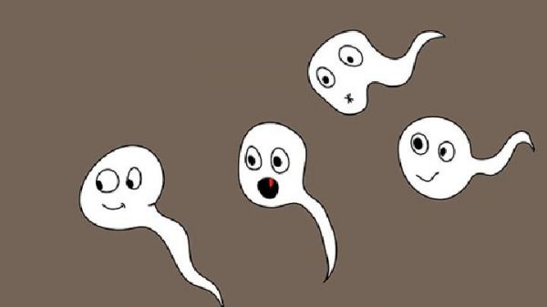 男性不健康的性格對健康的影響