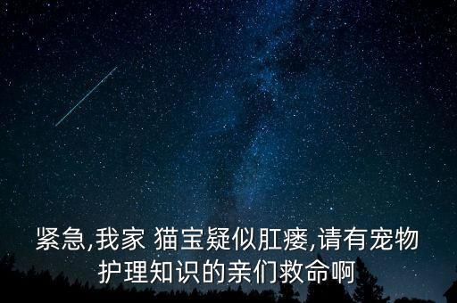 緊急,我家 貓寶疑似肛瘺,請(qǐng)有寵物護(hù)理知識(shí)的親們救命啊