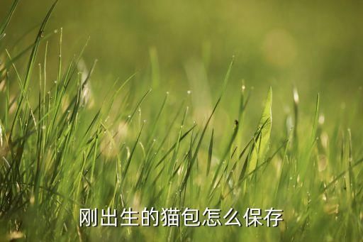剛出生的貓包怎么保存