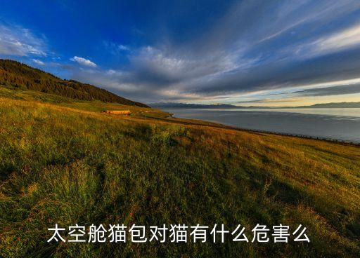 太空艙貓包對(duì)貓有什么危害么