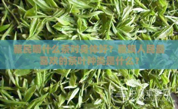  喝什么茶對(duì)身體好？藏族人民最喜歡的茶葉種類是什么？