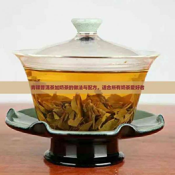 青稞普洱茶加奶茶的做法與配方，適合所有奶茶愛好者