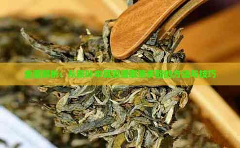 全面解析：從茶葉中高效提取茶多酚的方法與技巧