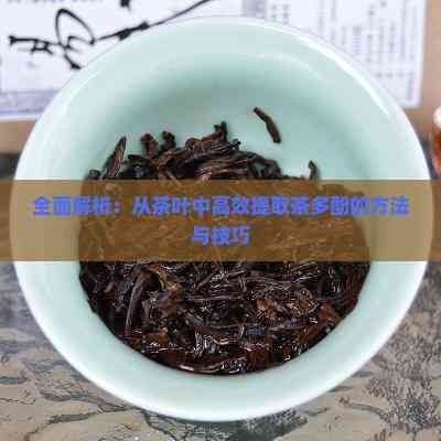 全面解析：從茶葉中高效提取茶多酚的方法與技巧